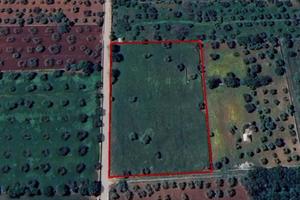 Terreno agricolo a Alberobello