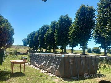 🏊♂️ Piscina 7.32 x 4 x h1.40 – Come Nuova – Comp