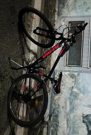 bici montagna 
