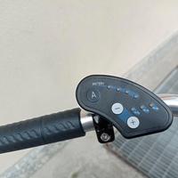 Bici tre ruote elettrica