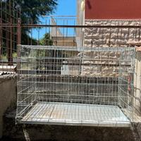 Kennel per cani di diverse taglie