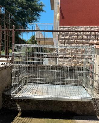 Kennel per cani di diverse taglie