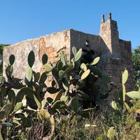 Terreni con casolare