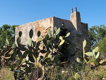 Terreni con casolare