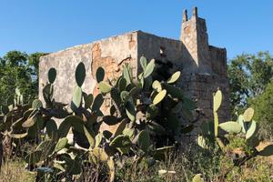 Terreni con casolare