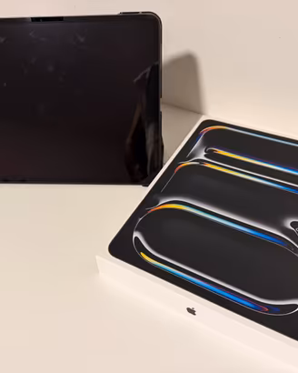 IPAD PRO 13  M4 WiFi 256 GB