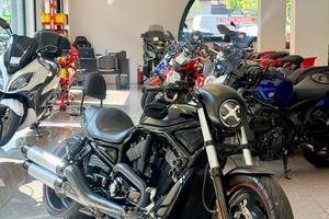 HARLEY-DAVIDSON NIGHT ROD SPECIAL VRSCDX 1250 - BI