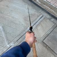 St. Croix trout series- spinning trout area