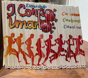 Collezzione libri ESPLORANDO IL CORPO UMANO