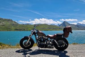 Harley Davidson shovelhead shovel head