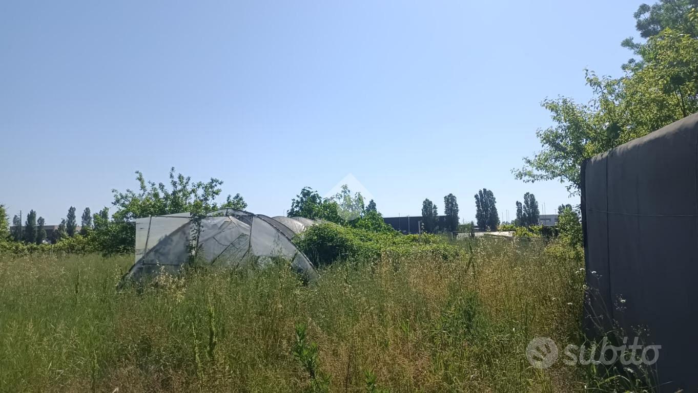 TER. AGRICOLO A LONGIANO - Vista 3