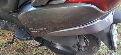 Honda forza 250