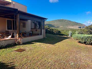 Bilocale stintino pelosa ristrutturato