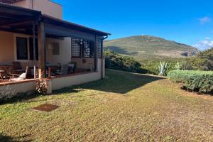 Bilocale stintino pelosa ristrutturato