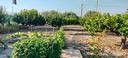 villetta-piu-terreno-san-michele