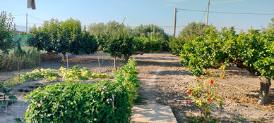 Villetta più terreno San Michele