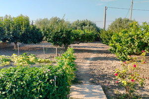 Villetta più terreno San Michele