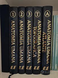 Libri universitari medicina