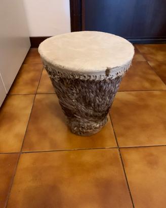 Bongo peloso