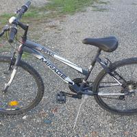 Mountain bike donna/ragazza