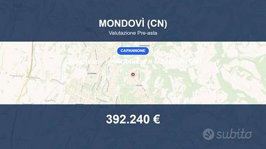 Immobile in asta di 2000 m² a Mondovì
