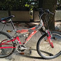 Bicicletta Mountain bike 