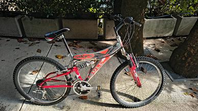 Bicicletta Mountain bike 