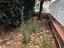 Immagine 28