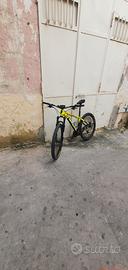 mtb brera