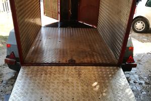 trailer trasporto cavalli