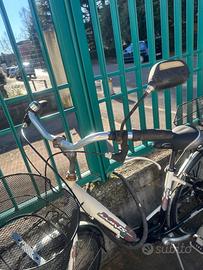 Bicicletta   da passeggio