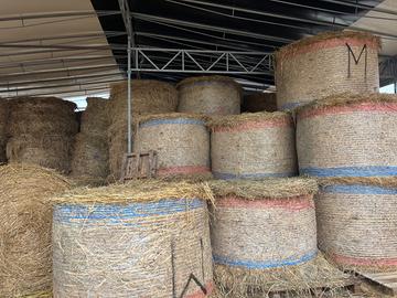 Fieno per cavalli e bovini