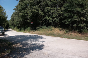 Terreno bivio Pesche (IS)