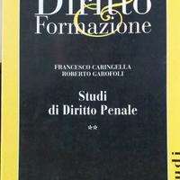 Caringella-Garofoli Studi di diritto penale 2° Giu