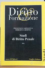Caringella-Garofoli Studi di diritto penale 2° Giu
