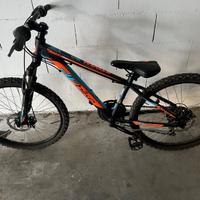 Bicicletta 10/12 anni