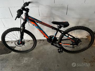 Bicicletta 10/12 anni