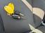 Immagine 12