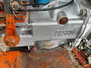 motozappa pasbo 10cv diesel