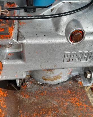 motozappa pasbo 10cv diesel