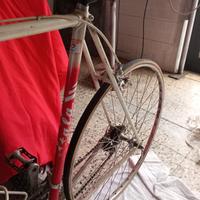Atala da corsa