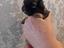Immagine 3