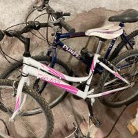 Biciclette MTB velomarche