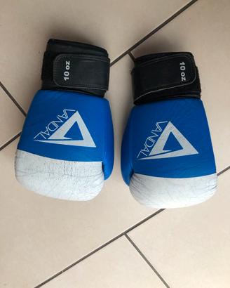 Guantoni box e kick boxing/muay thai