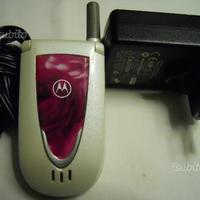 Telefono Cellulare Motorola V66i
