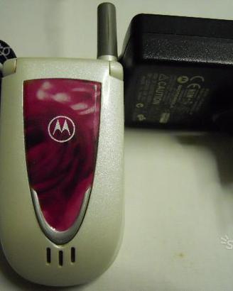 Telefono Cellulare Motorola V66i