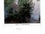 Immagine 22