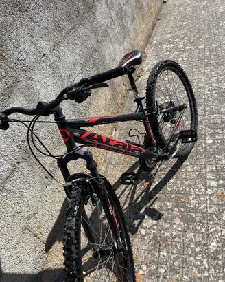 bicicletta MTB