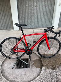 Bici da corsa specialized sport