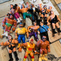 Action Figures Wrestling